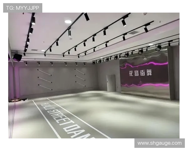 西安街舞队技术探讨与风格演绎的深度分析与展望